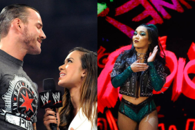AJ Lee and WWE star CM Punk and Roxanne Perez