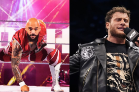 AEW star MJF and WWE Superstar Ricochet