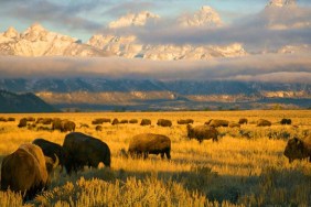 America's National Park (2015) Season 1