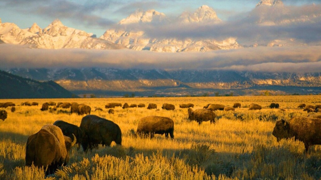 America's National Park (2015) Season 1