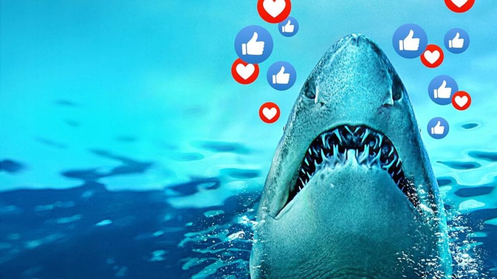 Watch Sharks Gone Viral