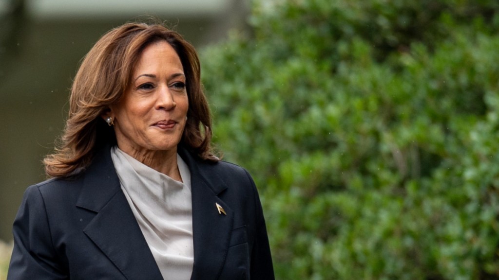 Kamala Harris: Did Netflix Donate to Her Campaign? Cancel Controversy Explained