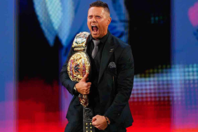 Former WWE Tag Team Champion The Miz ahead of SummerSlam lost his titles