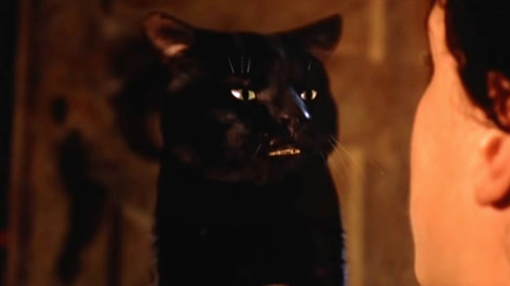 best cats in movies hocus pocus
