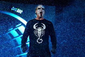 Is former tag team champion Sting coming at AEW All In?