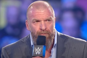 Triple H Net Worth 2024: How Much Money Do They Make?