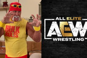 WWE Hall of Famer Hulk Hogan talks about Top AEW star