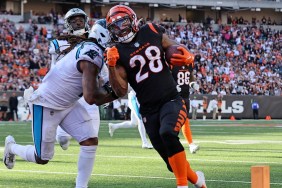 Watch NFL Cincinnati Bengals vs Carolina Panthers Today Free: Time, Stream & Channel