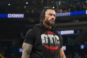 WWE Superstar Roman Reigns