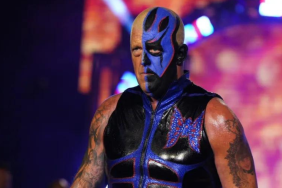 WWE Superstar Cody Rhodes’ Brother Dustin Rhodes AEW Contract Status Revealed