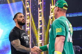 WWE Superstars Roman Reigns and John Cena