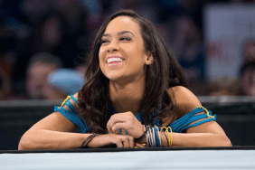 WWE AJ Lee