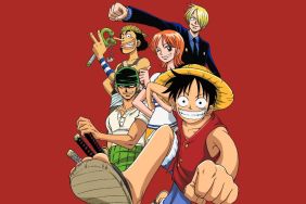 Why Did One Piece's Anime Go on a 6-Month Hiatus?