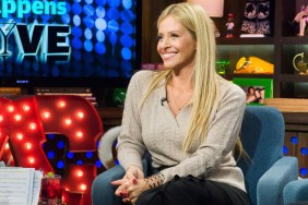 What Happened to Dina Manzo's Ex-Husband, Tommy? Prison Sentence Explained