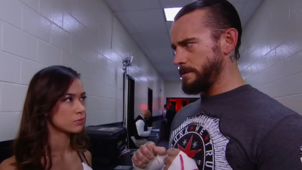 Who Is CM Punk's Wife? AJ Lee's Job & Relationship History