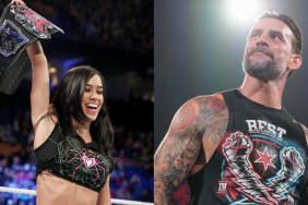 Former WWE Divas Champion AJ Lee and CM Punk