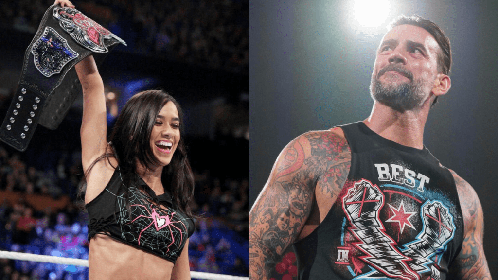 Former WWE Divas Champion AJ Lee and CM Punk