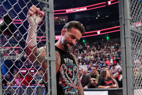 CM Punk defeated Drew McIntyre at WWE Bad Blood 2024