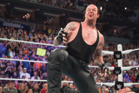 WWE Hall of Famer The Undertaker