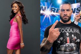 Brandi Rhodes, wife of Cody Rhodes, clarifies her stance on Roman Reigns following WWE Bad Blood 2024