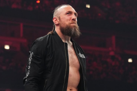 Bryan Danielson suffered a devastating loss at AEW WrestleDream 2024