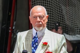 Why Was Don Cherry Fired By Sportsnet in 2019?