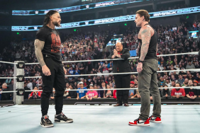 WWE Superstars Roman Reigns and CM Punk are teaming up this weekend at Survivor Series: WarGames.