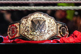 Former WWE World Heavyweight Champion opened up about his post wrestling plans