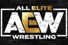 AEW stars Adam Copeland, Kenny Omega, Ricky Starks and Keith Lee have been absent from action