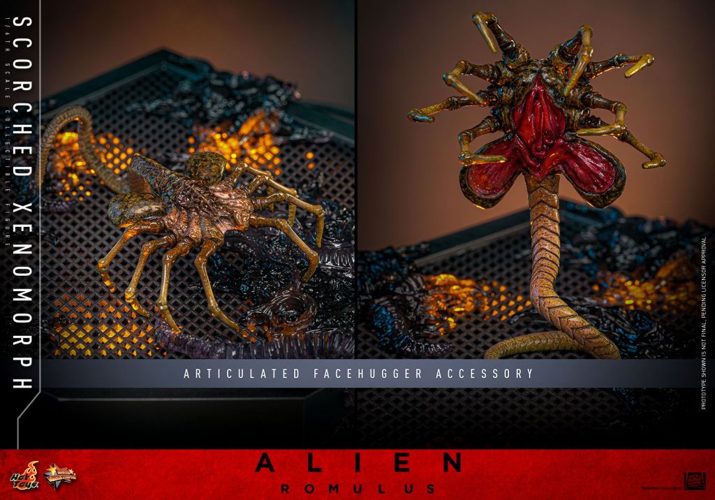 Alien: Romulus Xenomorph Hot Toys Figure Unveiled, Available for Preorder Now