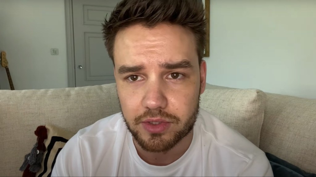 Liam Payne's Friend Roger Nores Blames Hotel For Singer's Death — Report