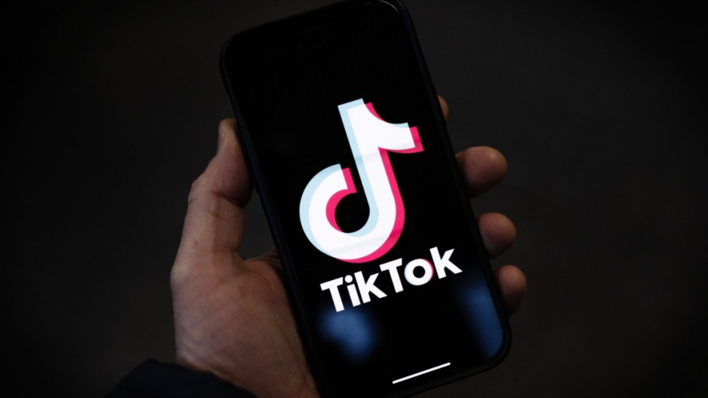 What Is the 'Sofia Dance' Trend on TikTok? Explained