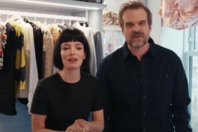 Who Is David Harbour's Wife? Lily Allen's Job & Relationship History