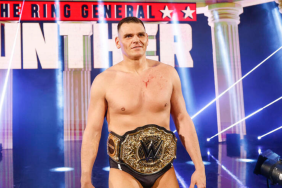 WWE World Heavyweight Champion Gunther