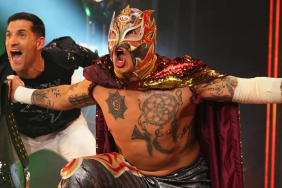 AEW star Rey Fenix