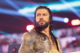 WWE Superstar Roman Reigns