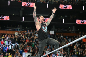 WWE Superstar CM Punk on RAW.