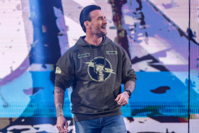 CM Punk on WWE RAW.