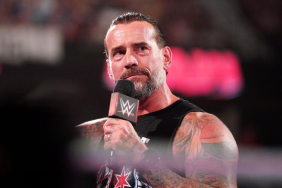 WWE Superstar CM Punk on RAW.