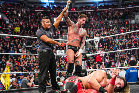 CM Punk defeated Seth Rollins on WWE RAW Netflix Premiere.