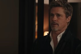 Brad Pitt Has 'No Complaints' in Ines de Ramon Relationship — Report