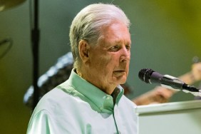 Brian Wilson Net Worth 2025: How Much Money Does He Make?