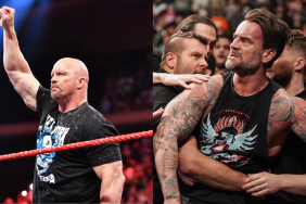Stone Cold Breaks Silence on CM Punk, Addresses WWE Match Possibility