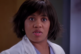 Chandra Wilson Relationship Explained