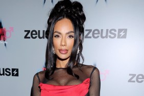 Erica Mena Net Worth 2025: How Much Money Does She Make?