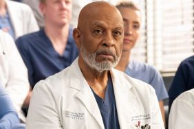 Grey’s Anatomy Season 21 Episode 16 Release Date, Time, Where to Watch