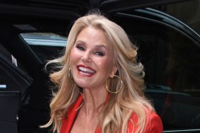 Christie Brinkley Comment on Billy Joel Divorce Explained