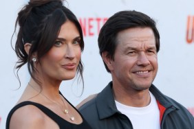 Who Is Mark Wahlberg's Wife? Rhea Durham's Job & Kids