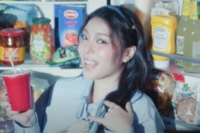 Who Is Ailee's Husband? Choi Si-hun's Job & Relationship History