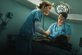 Who Becomes the Chief in Pulse? Ending Explained